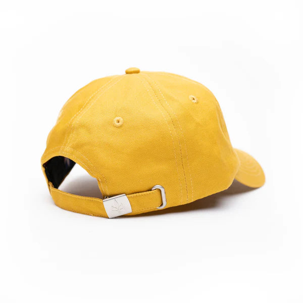 Tall T - Dad Hat - Classic Logo - Timbo/Black