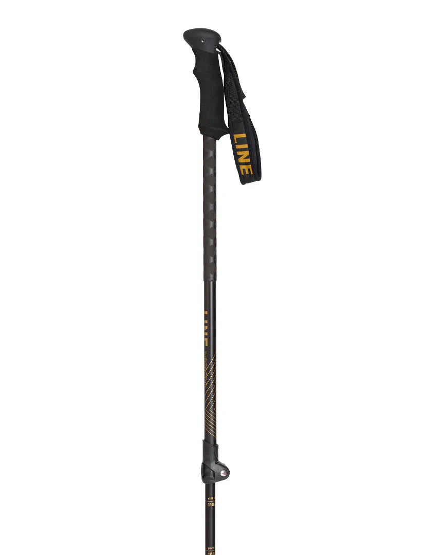 Line - Vision Poles